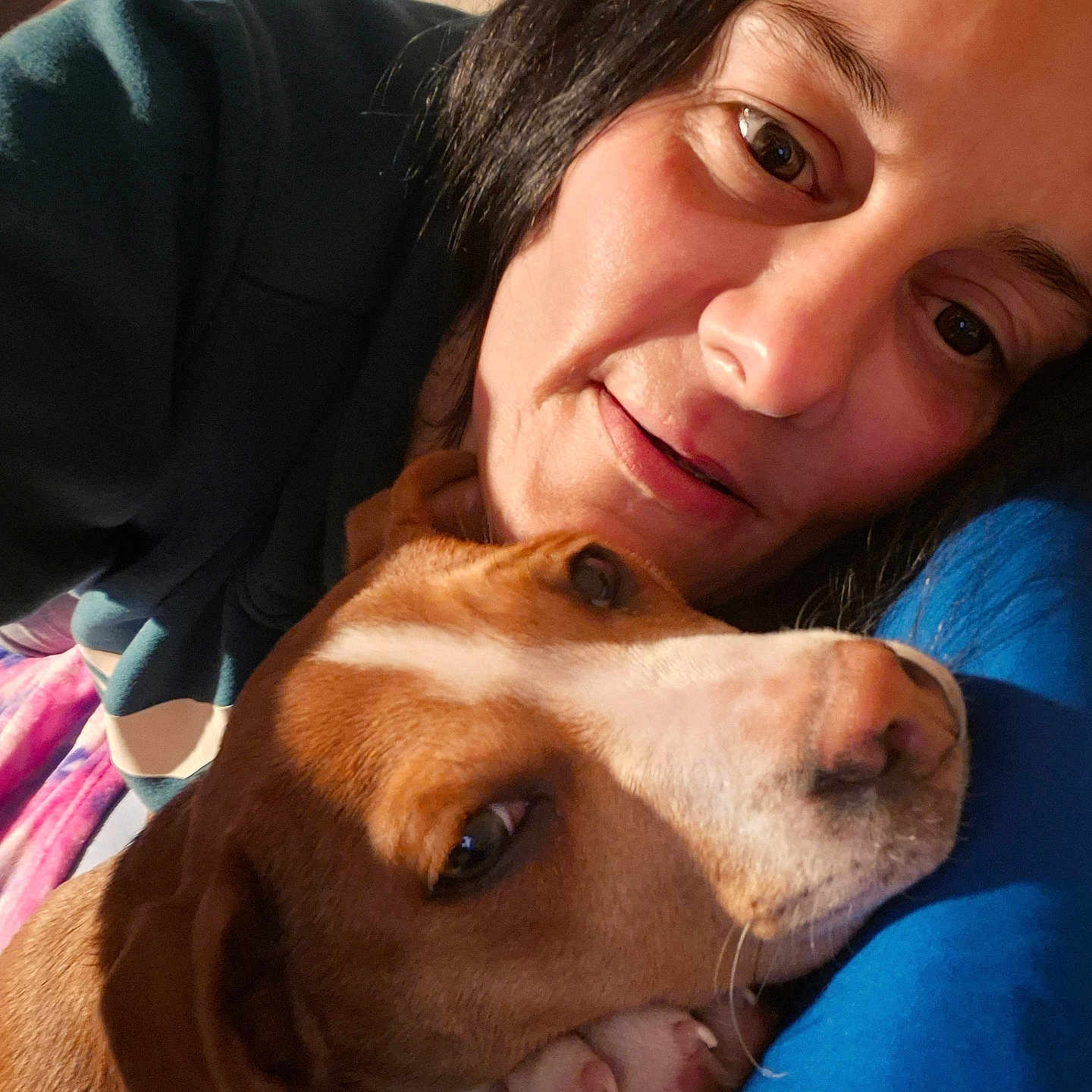 Babygirl is registered to the contest to win money with this photo: woman, person, dog, brown_dog, white_dog, pit_bull_type, pet, cuddle, selfie, portrait, face, eyes, smile, indoors, blanket, blue_clothing, warm_lighting, close_up, affection, companion