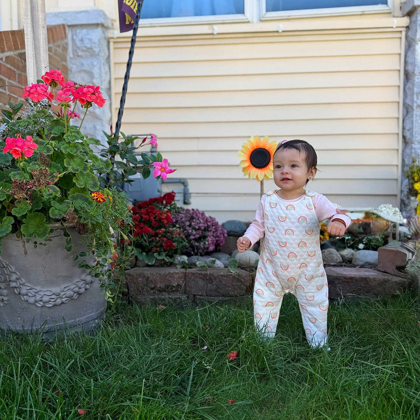 Isabella