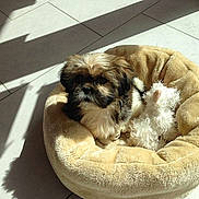 Joy participe au concours pour gagner de l'argent avec cette photo :