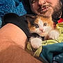 person, kitten, cat, calico_cat, blanket, bed, snuggling, fur, face, paw, human, indoor, cute, closeup, comfort, relaxation, piercing, expression, animal, resting