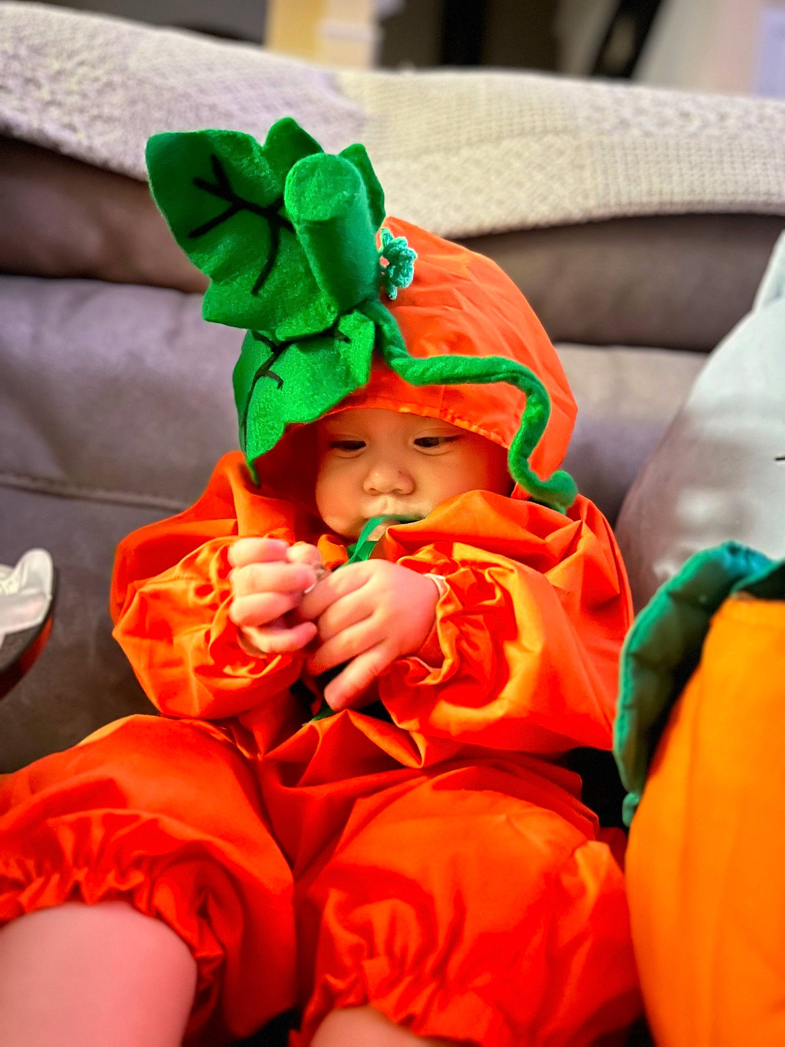 Kehlani is registered to the contest to win money with this photo: baby, child, comfort, costume, costume_hat, event, fictional_character, fun, happy, headgear, headwear, holiday, orange, peach, person, room, sitting, toddler, tradition, trick_or_treat