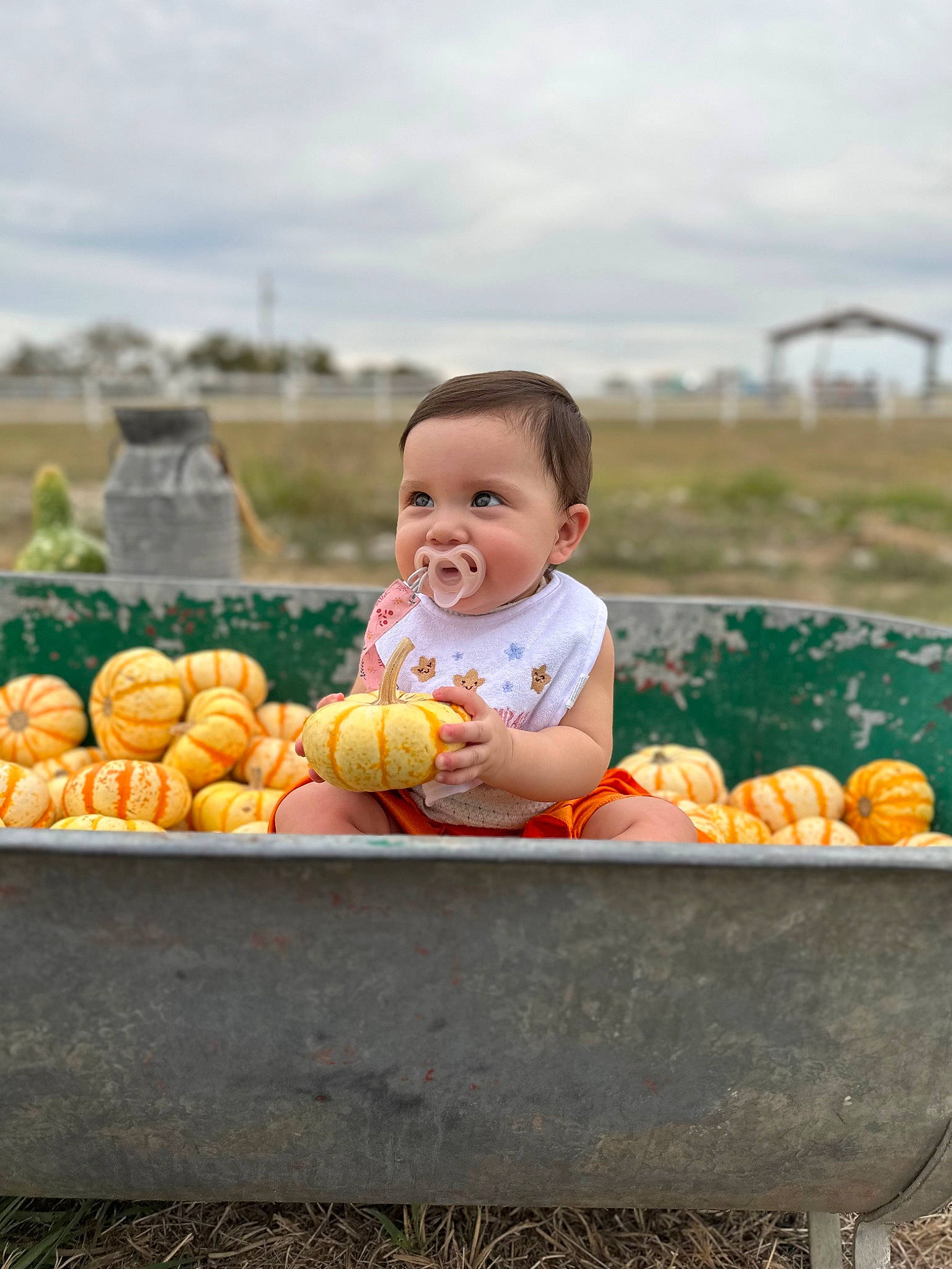 Kehlani joined the competition — help win amazing prizes! baby, baby_toddler_clothing, calabaza, cloud, food, fruit, grass, happy, natural_foods, orange, people_in_nature, person, plant, produce, pumpkin, sitting, sky, toddler, vegetable, whole_food