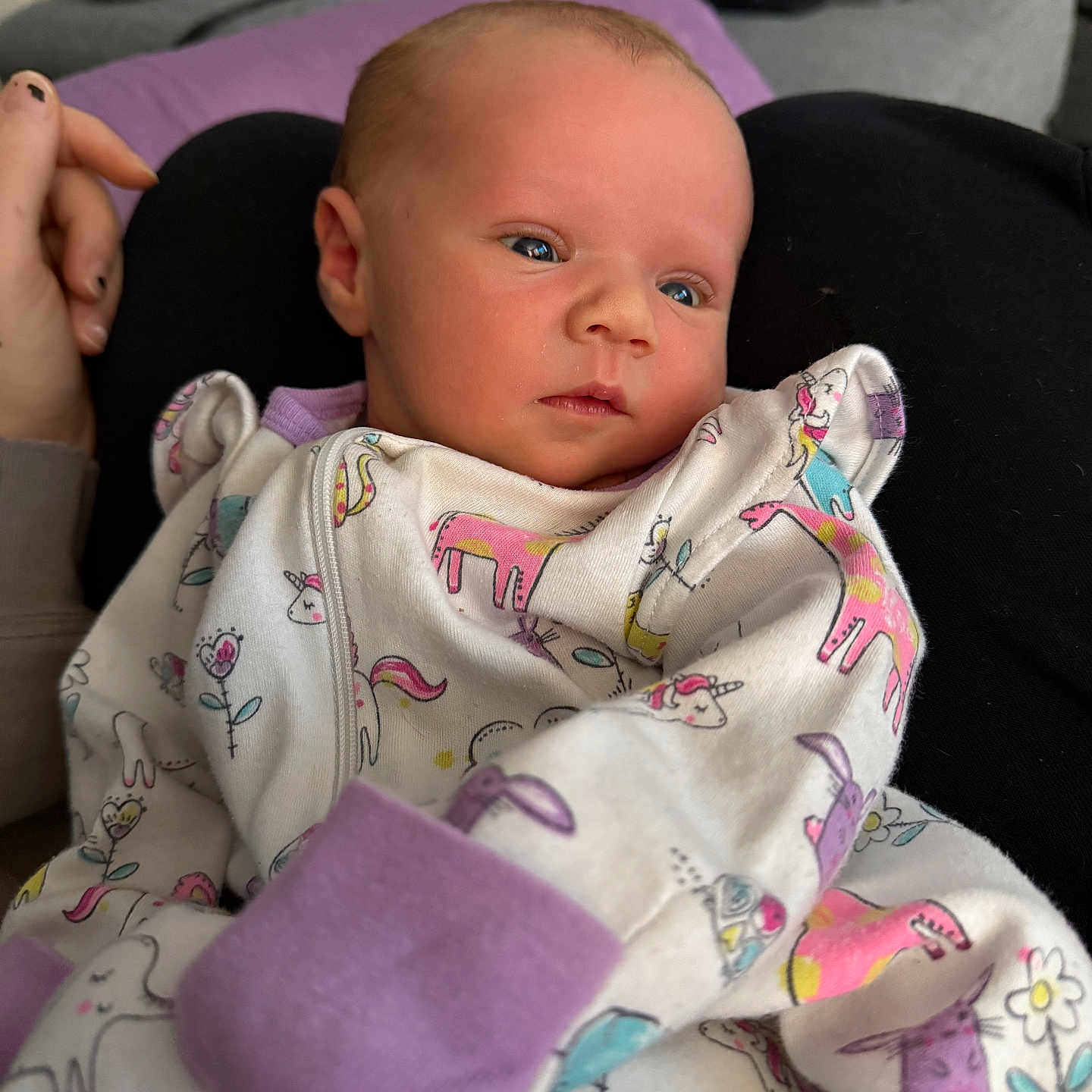 Carver is registered to the contest to win money with this photo: baby, blue_eyes, child, clothing, comfort, couch, face, hand, home, indoor, infant, newborn, onesie, person, pillow, portrait, purple_cuffs, relaxed, soft_lighting, unicorn_pattern