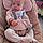 Teddy