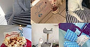 Pandore a rejoint le concours — aidez-le/la à gagner de superbes lots ! cat, white_cat, birthday, cake, gifts, cat_tree, tile_floor, collage, celebration, pet, indoor, food_bowl, wrapped_presents, feline, pets, happy, cute, posing, floor, table