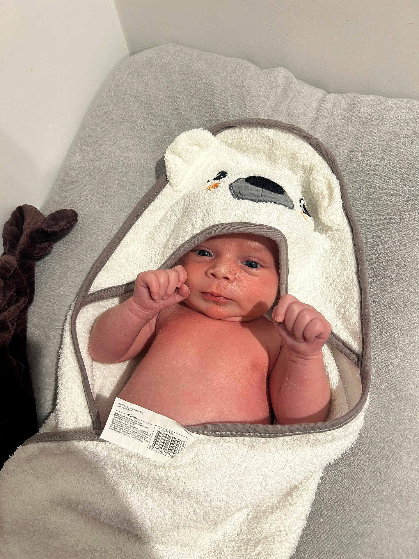 Kayden participe au concours pour gagner de l'argent avec cette photo : baby, infant, towel, hooded_towel, bear_ears, blanket, skin, face, fist, newborn, soft_surface, indoor, cute, child, person, expression, resting, wrapped, baby_grooming, portrait