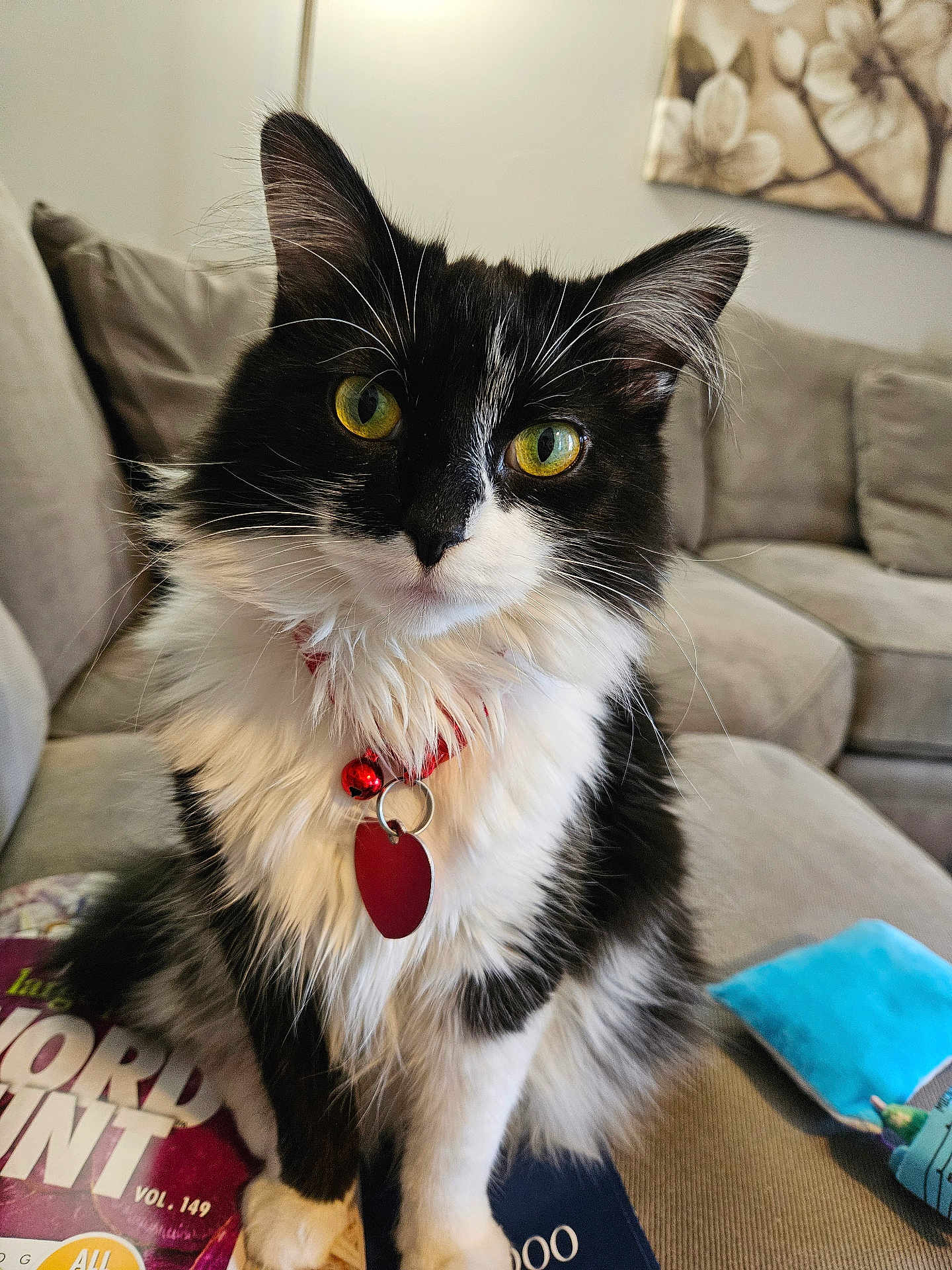 Ella