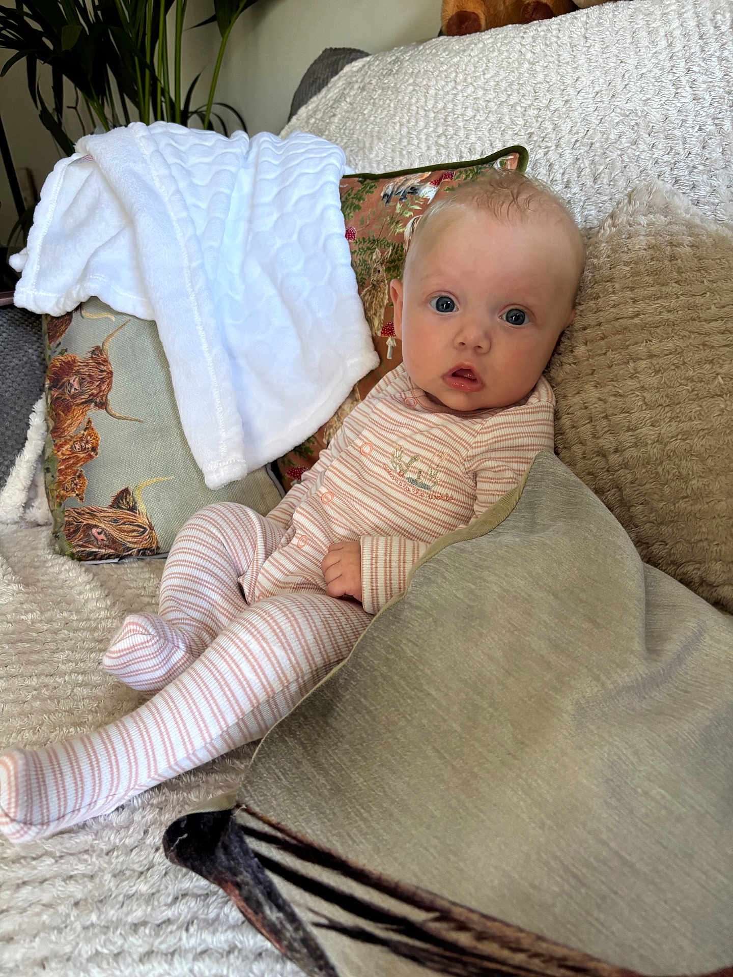 Margot is registered to the contest to win money with this photo: baby, infant, pajamas, couch, blanket, pillow, face, person, indoor, home, cute, child, sitting, soft, cozy, striped_clothing, looking, young, expression, comfort