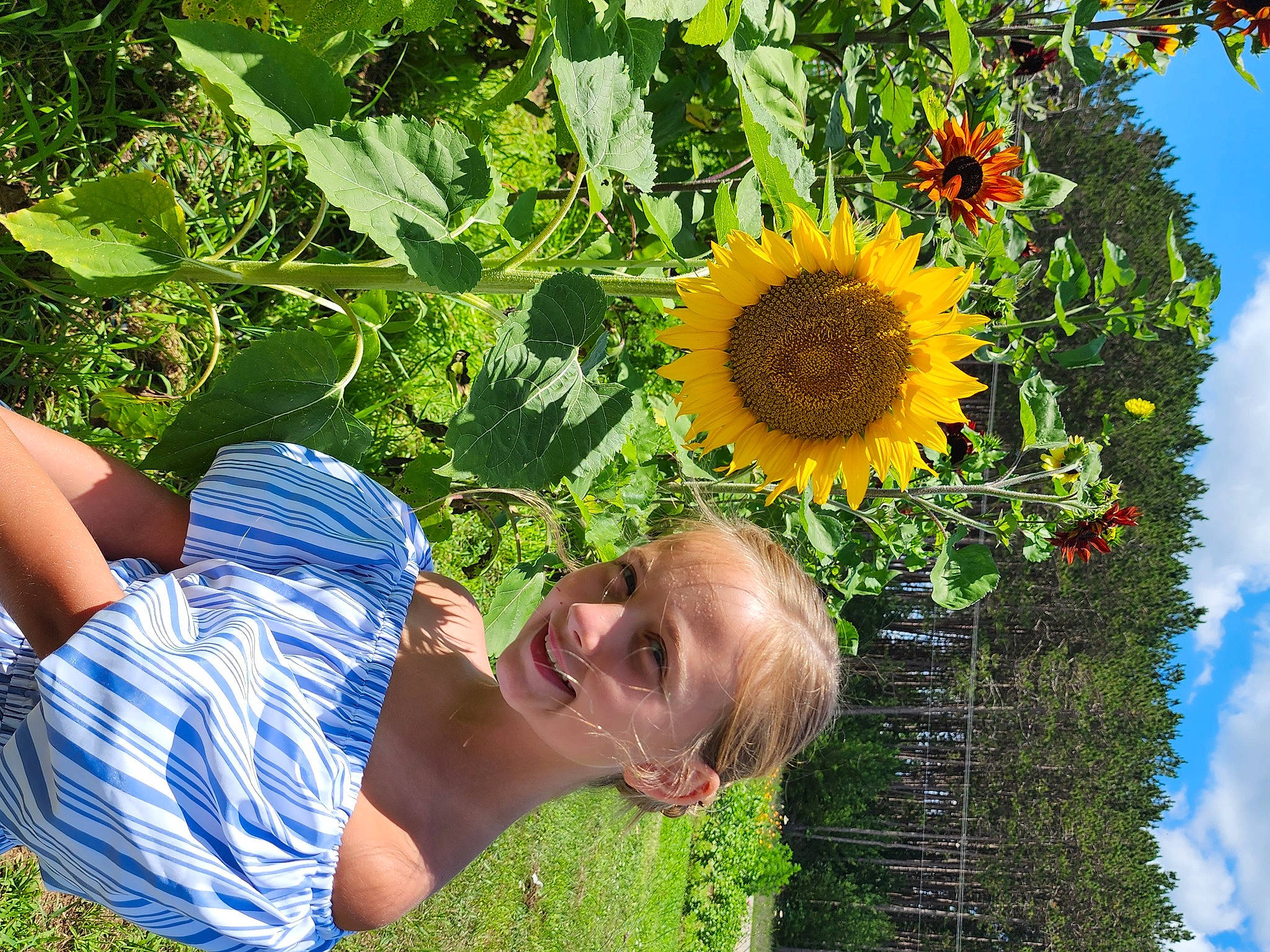 Kaylen is registered to the contest to win money with this photo: beauty, blue, botany, cloud, flower, flowering_plant, grass, green, groundcover, happy, joy, leaf, people_in_nature, person, petal, photograph, plant, sky, smile, summer