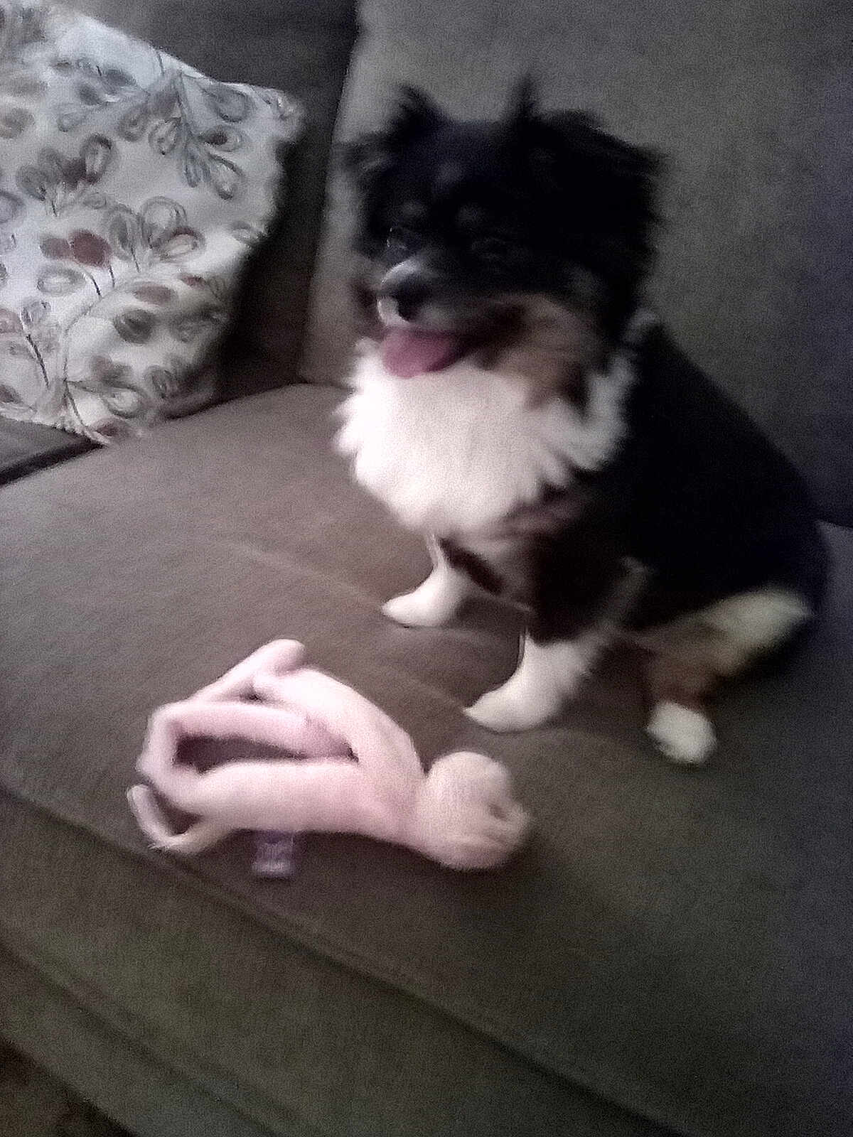 Sophie