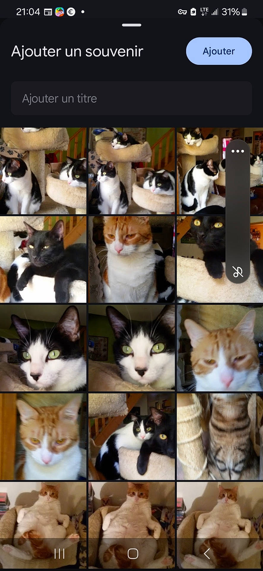 Sawyer participe au concours pour gagner de l'argent avec cette photo : animal, art, blackcat, canine, cat, collage, computerhardware, dog, electronics, hardware, kitten, manx, person, pet, phone, screen, shelf, sleeping, text, tiger