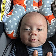 Elijah joined the competition — help win amazing prizes! baby, infant, car_seat, child, face, headrest, fox_pattern, striped_clothing, hand, fingers, close_up, seatbelt, polka_dots, cute, calm, indoors, soft_light, portrait, safety, resting