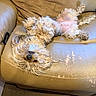 dog, upside_down, fluffy, couch, leather, worn_out, relaxed, pet, indoor, fur, belly, paw, nose, animal, canine, home, living_room, resting, cute, comfy
