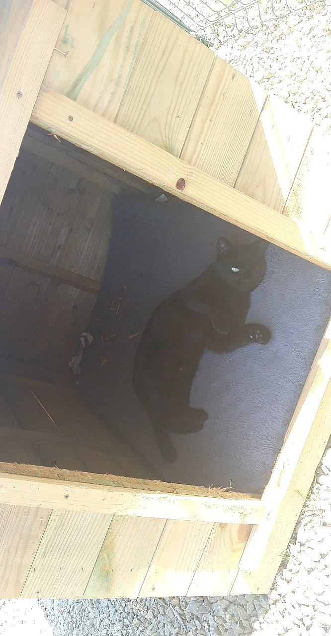 Dja a rejoint le concours — aidez-le/la à gagner de superbes lots ! floor, flooring, hardwood, plywood, room, wood