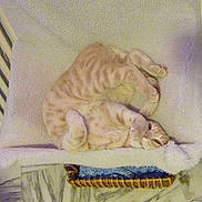 Ramses a rejoint le concours — aidez-le/la à gagner de superbes lots !