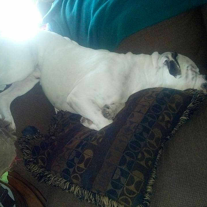 Primos is registered to the contest to win money with this photo: