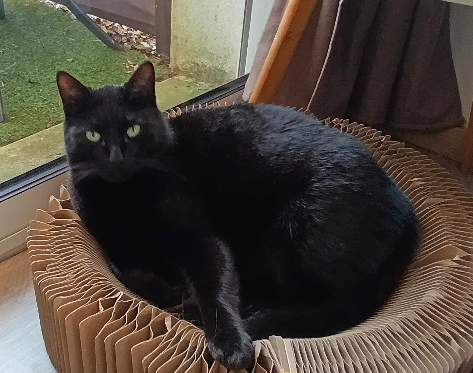 Tino