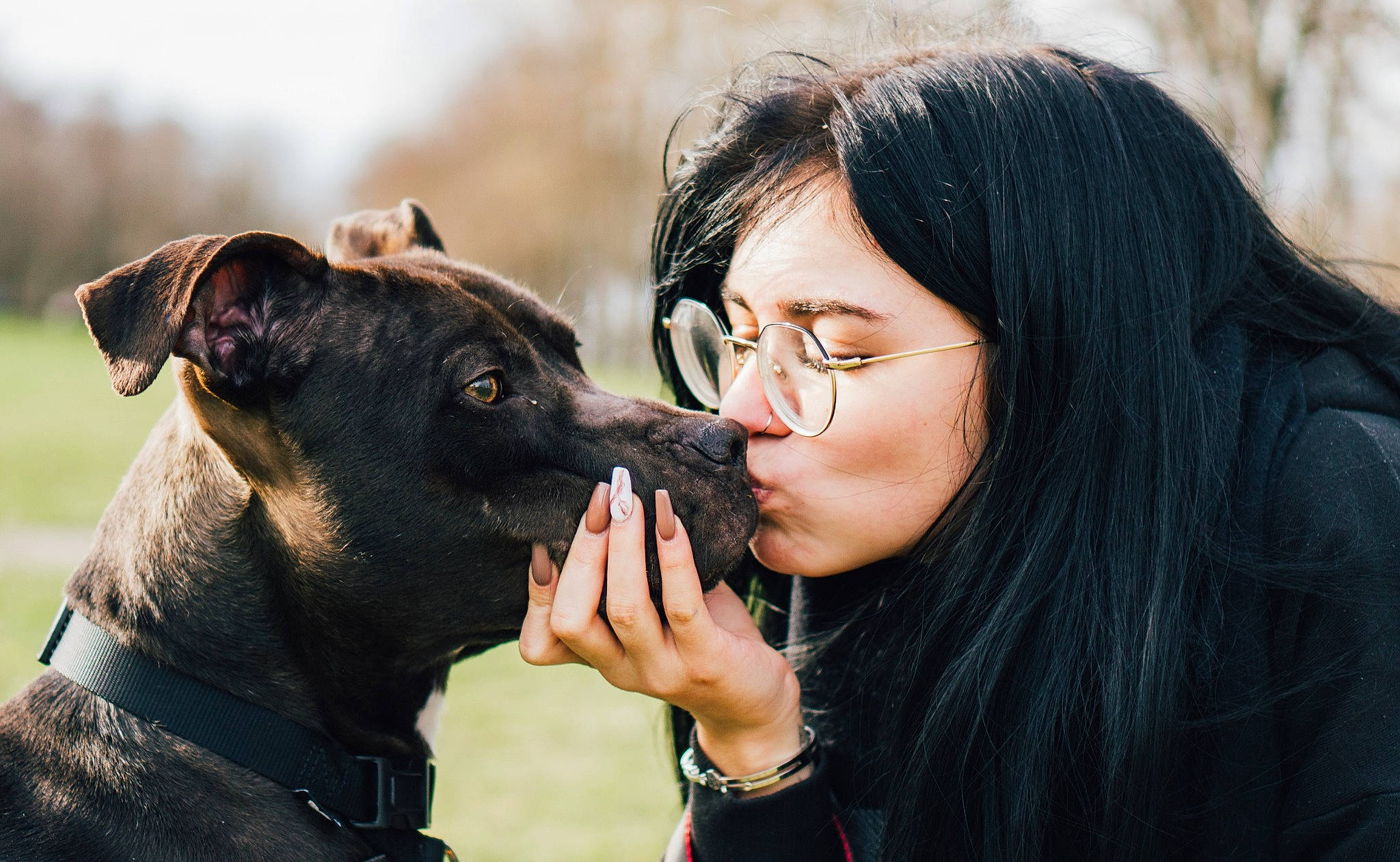 Patch a rejoint le concours — aidez-le/la à gagner de superbes lots ! canidae, carnivore, collar, companion_dog, dog, dog_breed, dog_collar, event, eyewear, fawn, flash_photography, gesture, glasses, grass, happy, snout, sporting_group, tree, vision_care, working_animal