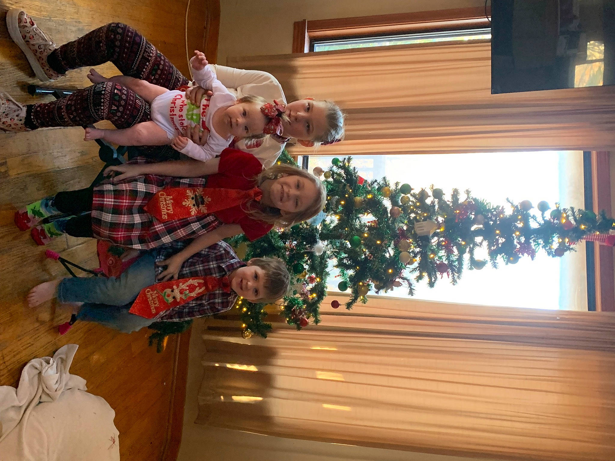 Hazel joined the competition — help win amazing prizes! christmas, christmas_decoration, christmas_eve, christmas_ornament, christmas_tree, event, fun, happy, hardwood, holiday, holiday_ornament, interior_design, joy, person, plant, room, shelf, tartan, tree, white