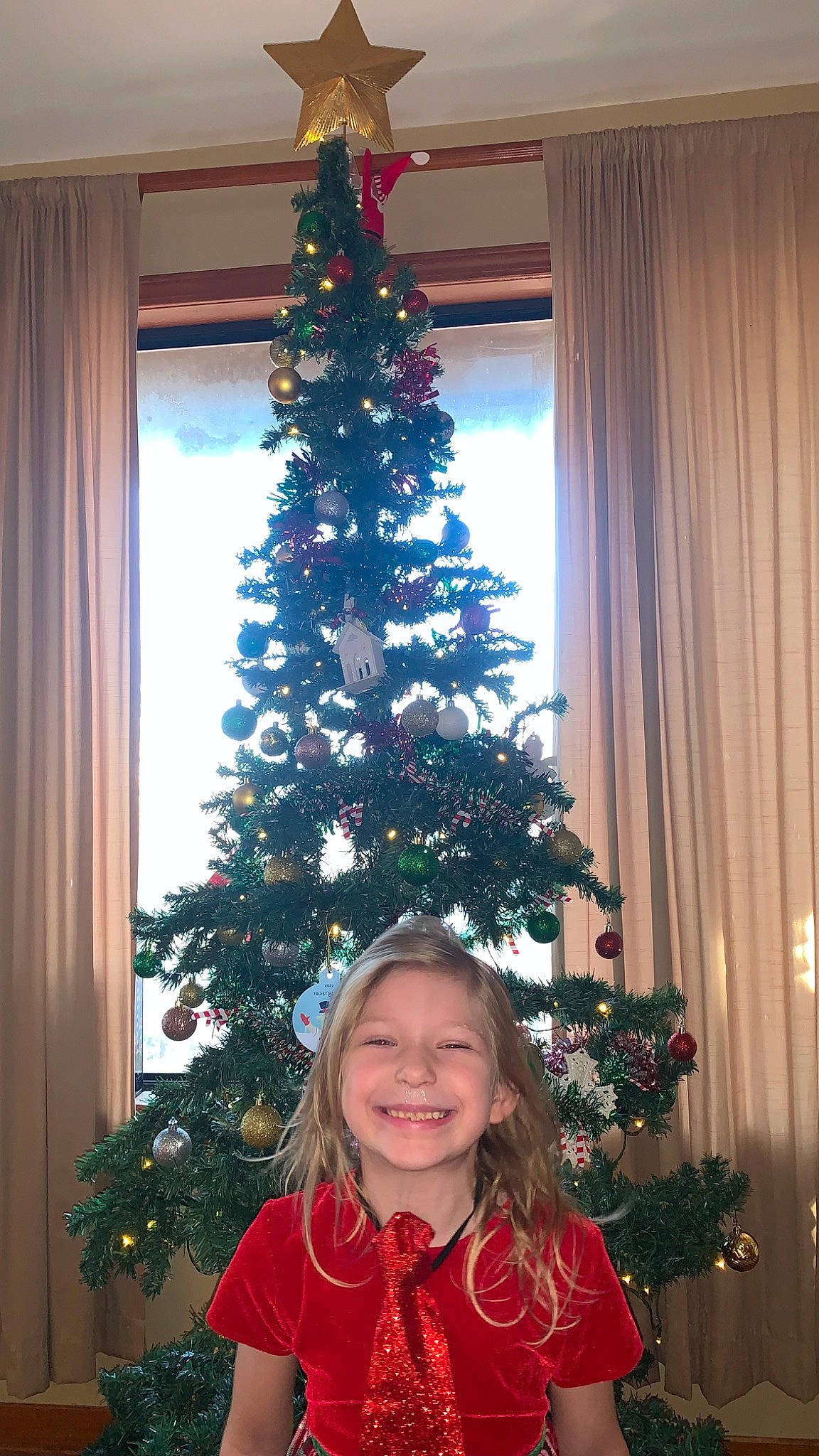 Hazel is registered to the contest to win money with this photo: branch, christmas_decoration, christmas_ornament, christmas_tree, curtain, event, evergreen, holiday_ornament, joy, larch, leaf, ornament, person, plant, red, smile, snapshot, tints_and_shades, tree, white