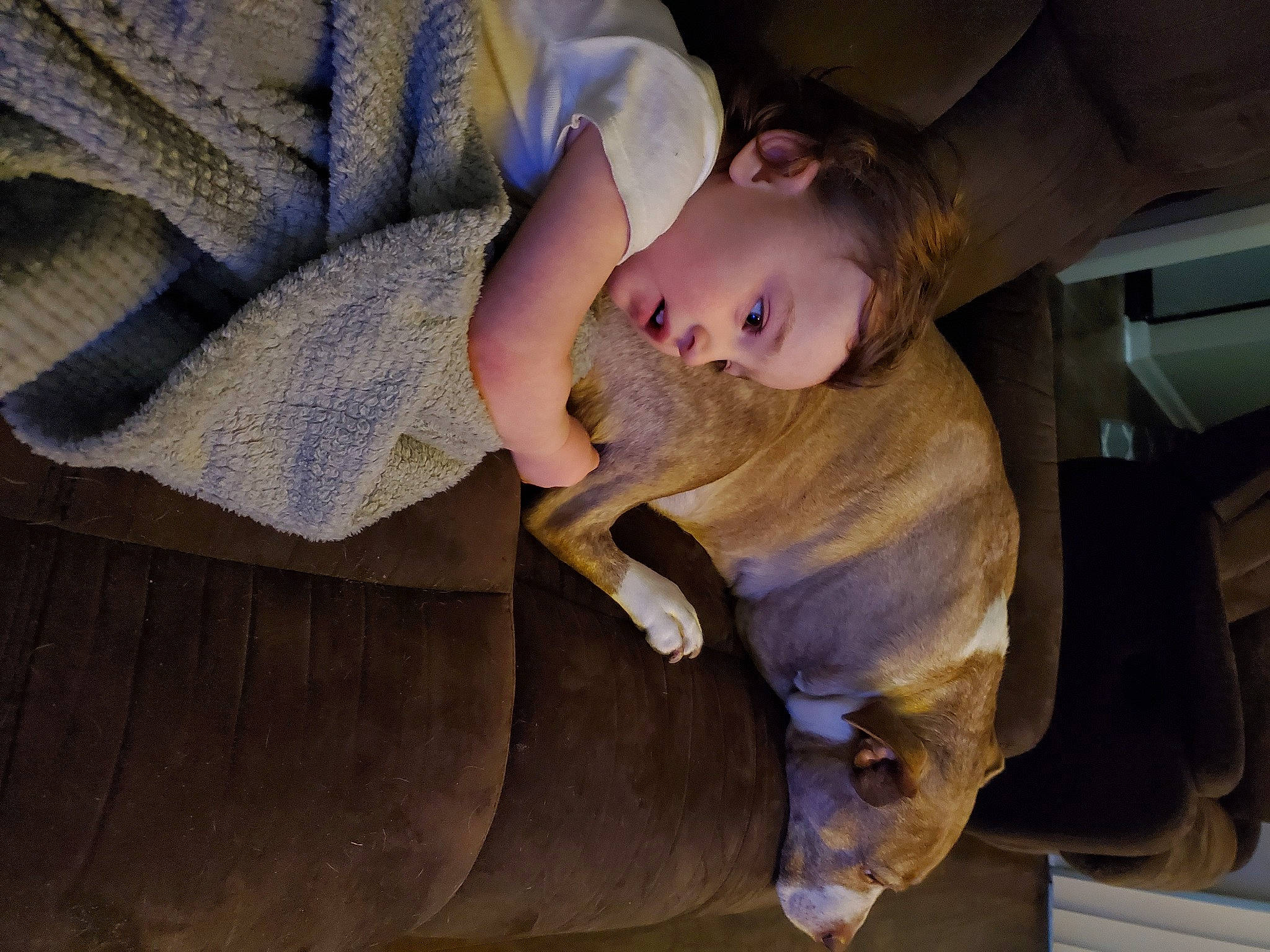 Fitzgerald joined the competition — help win amazing prizes! auto_part, baby, canidae, child, comfort, fawn, fur, human_body, linens, nap, person, sculpture, sitting, sporting_group, statue, toddler, tree, working_animal