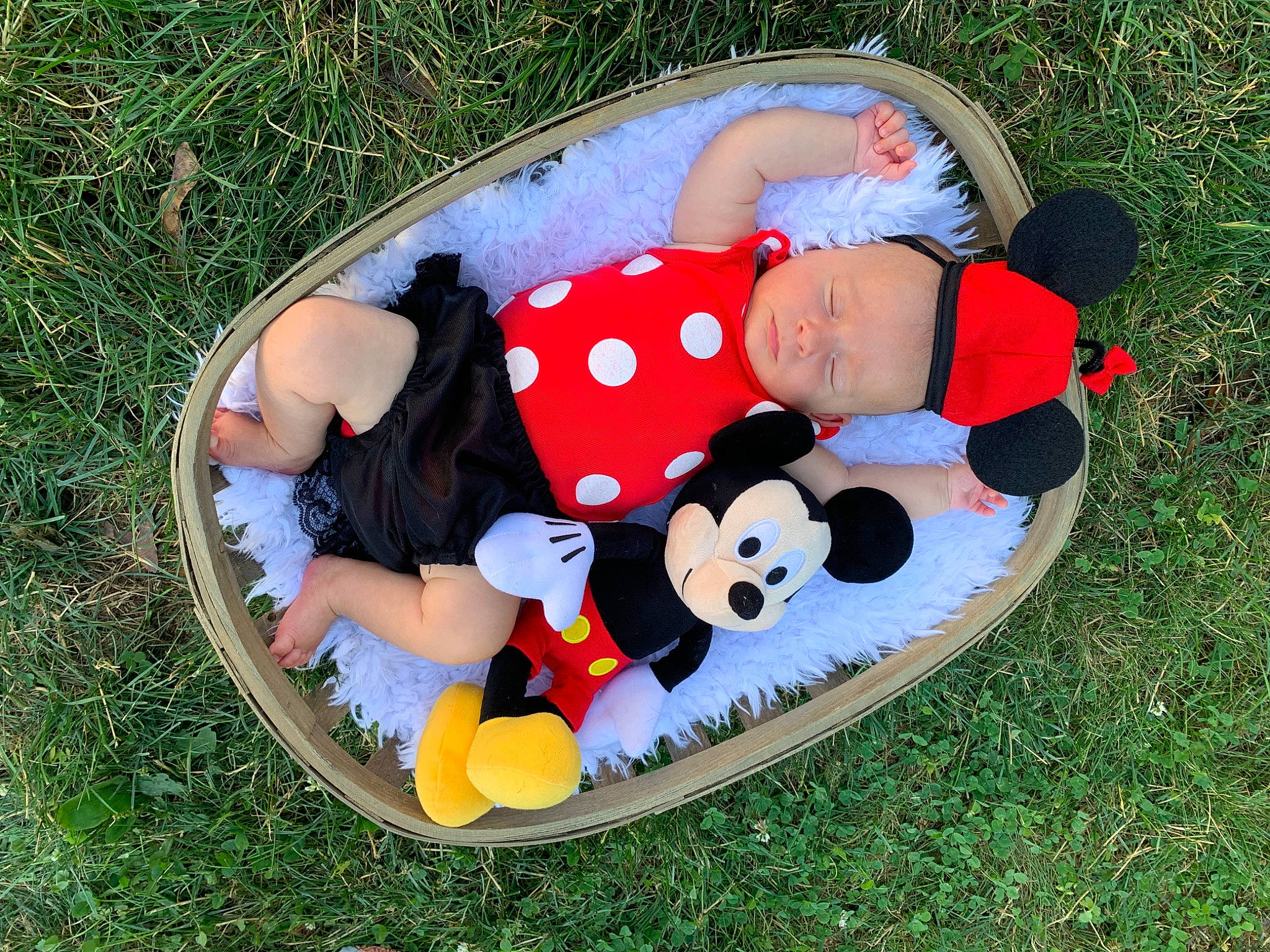 Ashlyn joined the competition — help win amazing prizes! baby_products, child, grass, nap, person, play, product, toddler