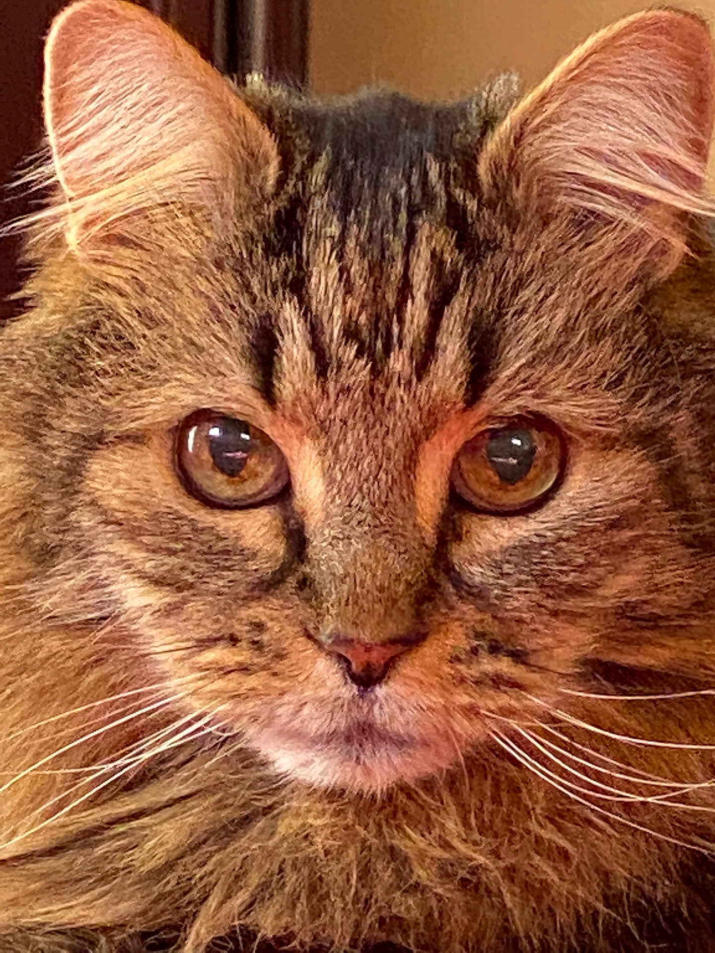 Henry
