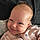 Maddison
