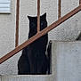 black_cat, cat, stairs, railing, concrete, outdoor, animal, pet, quiet, mysterious, feline, wall, vertical_bars, sitting, alone, gray, texture, urban, background, still