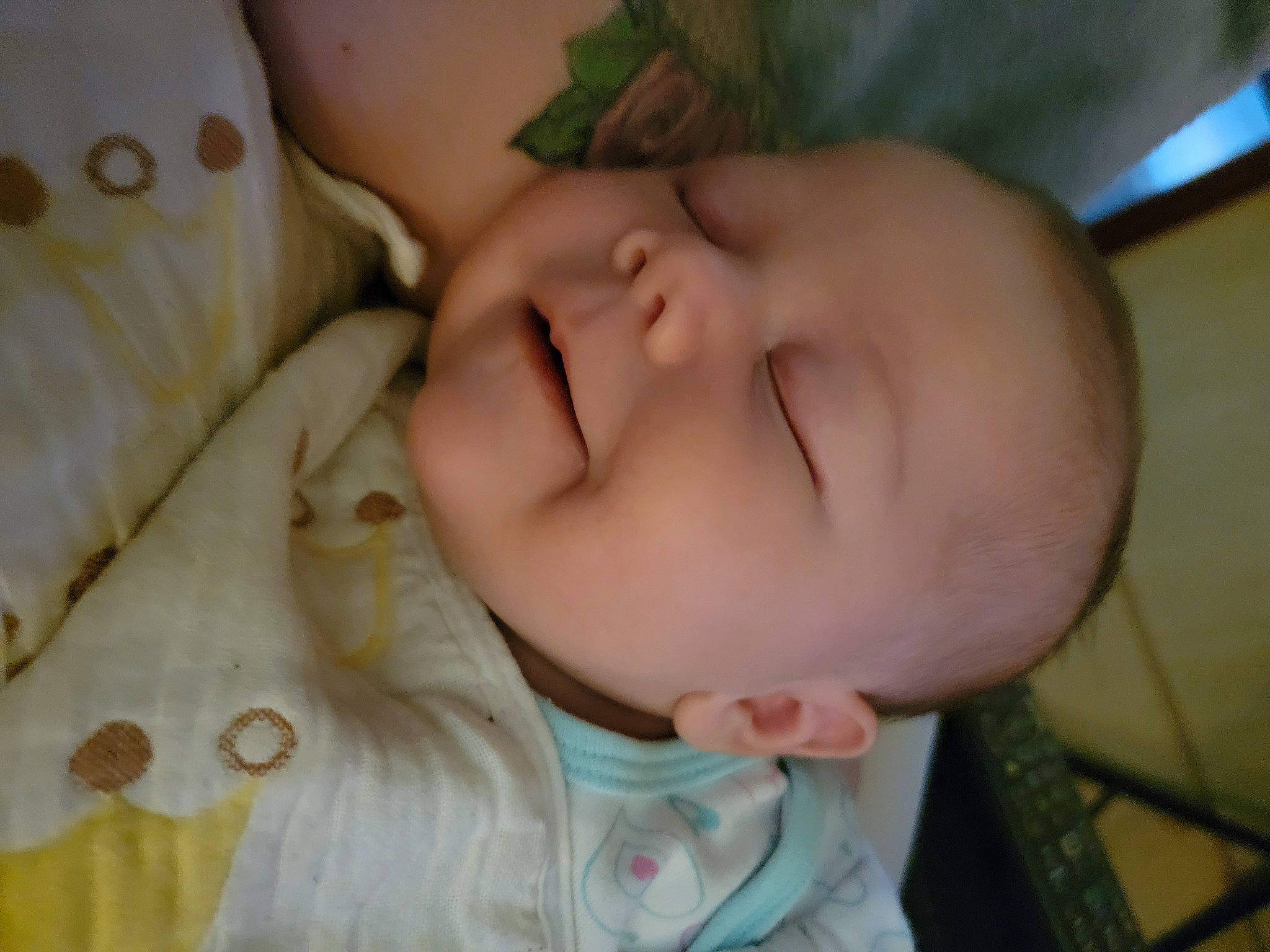 Avri joined the competition — help win amazing prizes! baby, baby_toddler_clothing, cheek, chin, comfort, eyebrow, finger, grass, hand, happy, iris, lip, mouth, nose, person, product, skin, sleeve, smile, textile