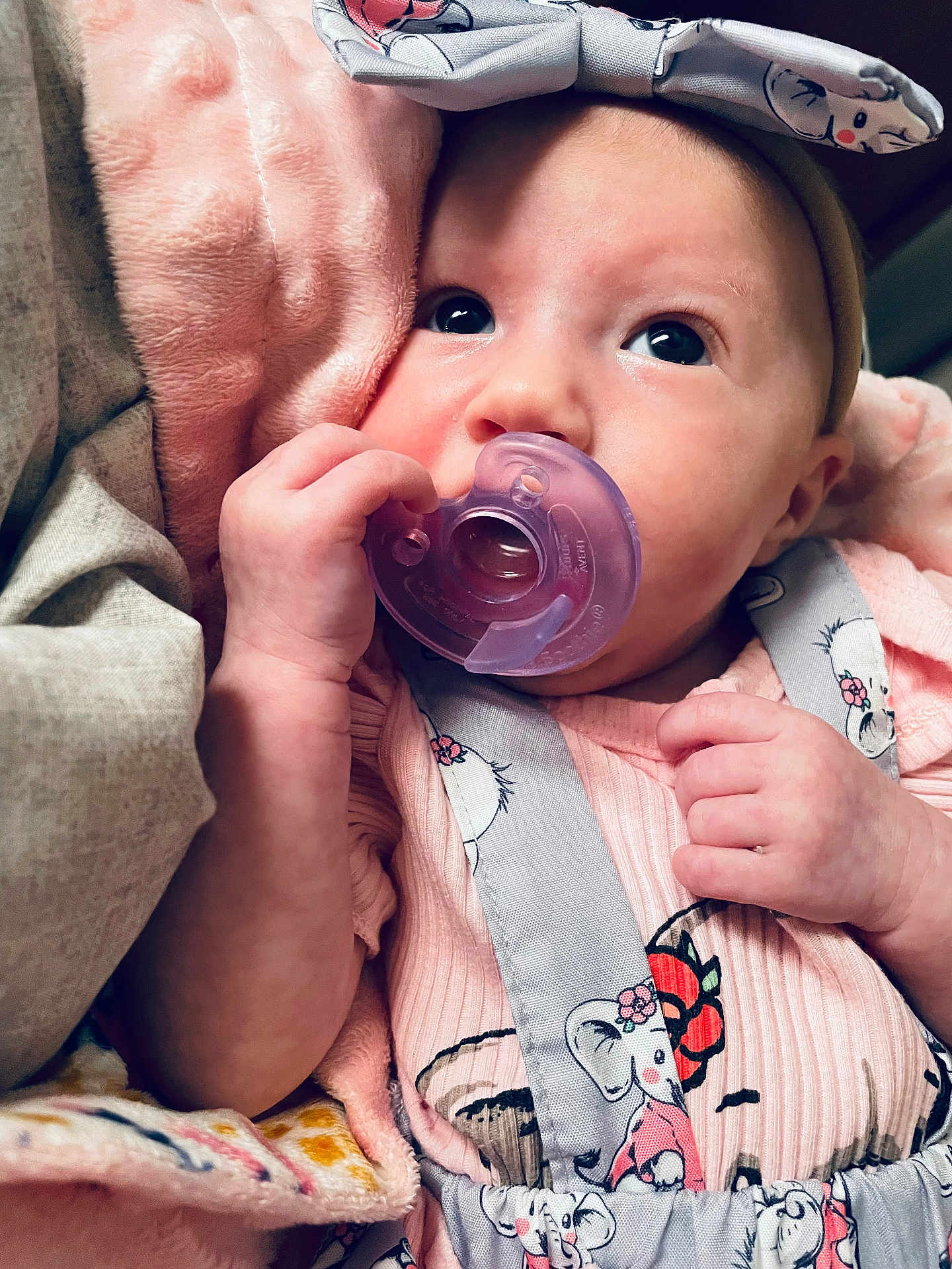 Everly joined the competition — help win amazing prizes! baby, infant, pacifier, blanket, pink, headband, elephant_print, clothing, cute, closeup, hand, face, child, soft_texture, newborn, portrait, indoors, comfort, sleepwear, adorable