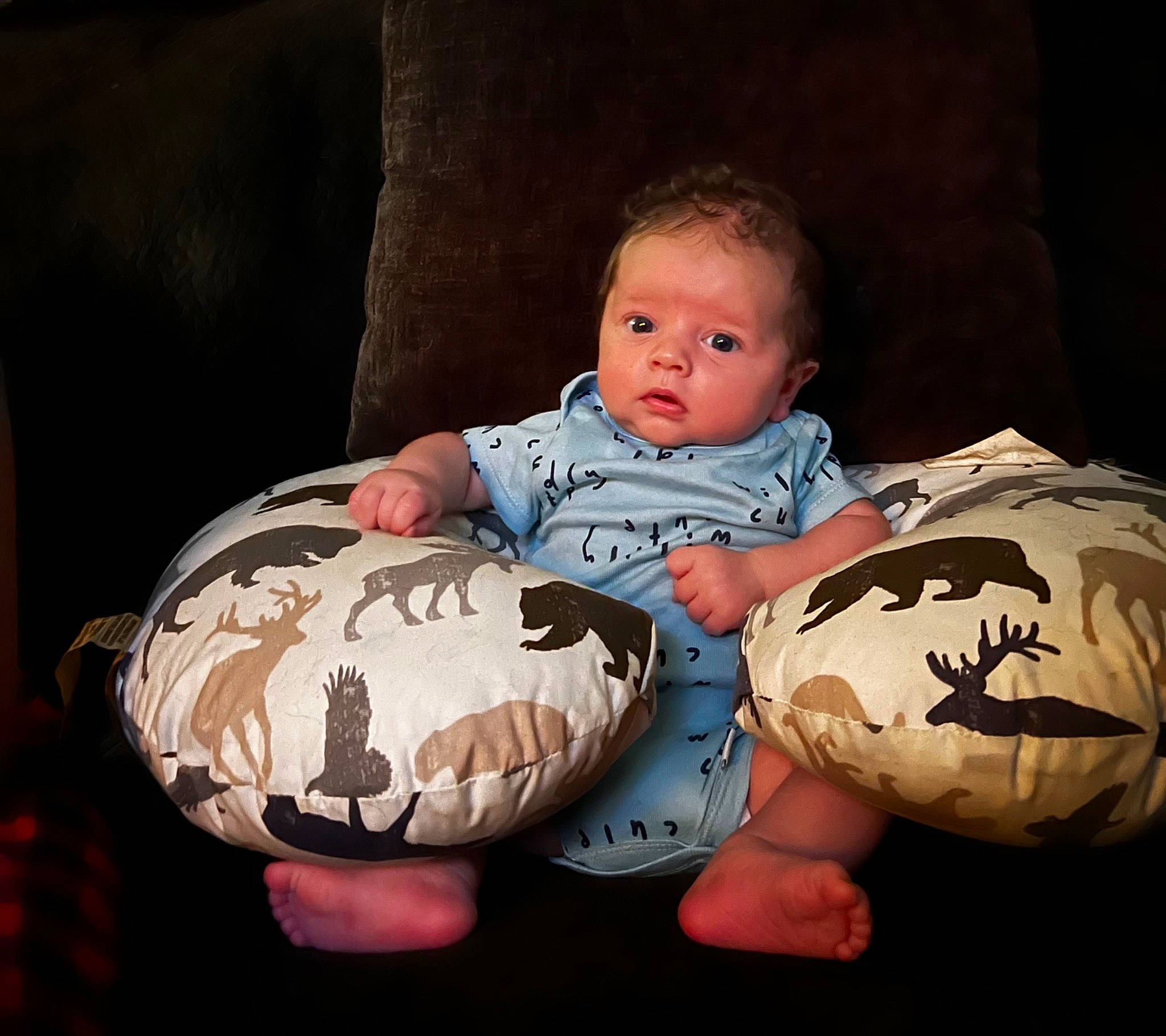 Briar is registered to the contest to win money with this photo: baby, baby_toddler_clothing, cheek, child, comfort, couch, flash_photography, fun, happy, headgear, lighting_accessory, linens, mouth, pattern, person, pillow, room, sitting, sleeve, t_shirt