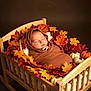 baby, sleeping, swaddled, wooden_bed, autumn_leaves, pumpkins, fall_theme, cozy, wrapped, infant, decor, brown_wrap, peaceful, cute, portrait, newborn, indoor, soft_lighting, seasonal, cute_baby