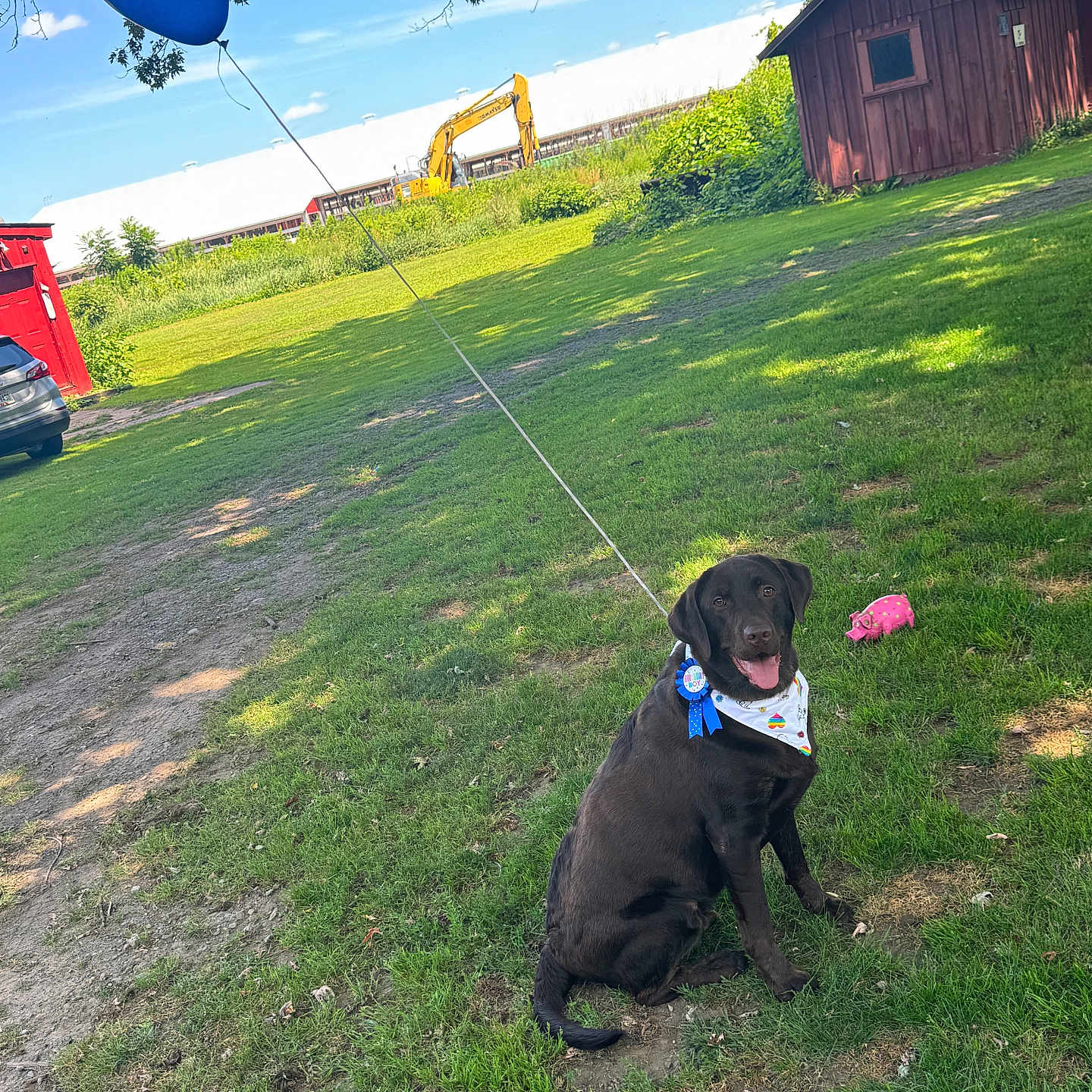 Oliver