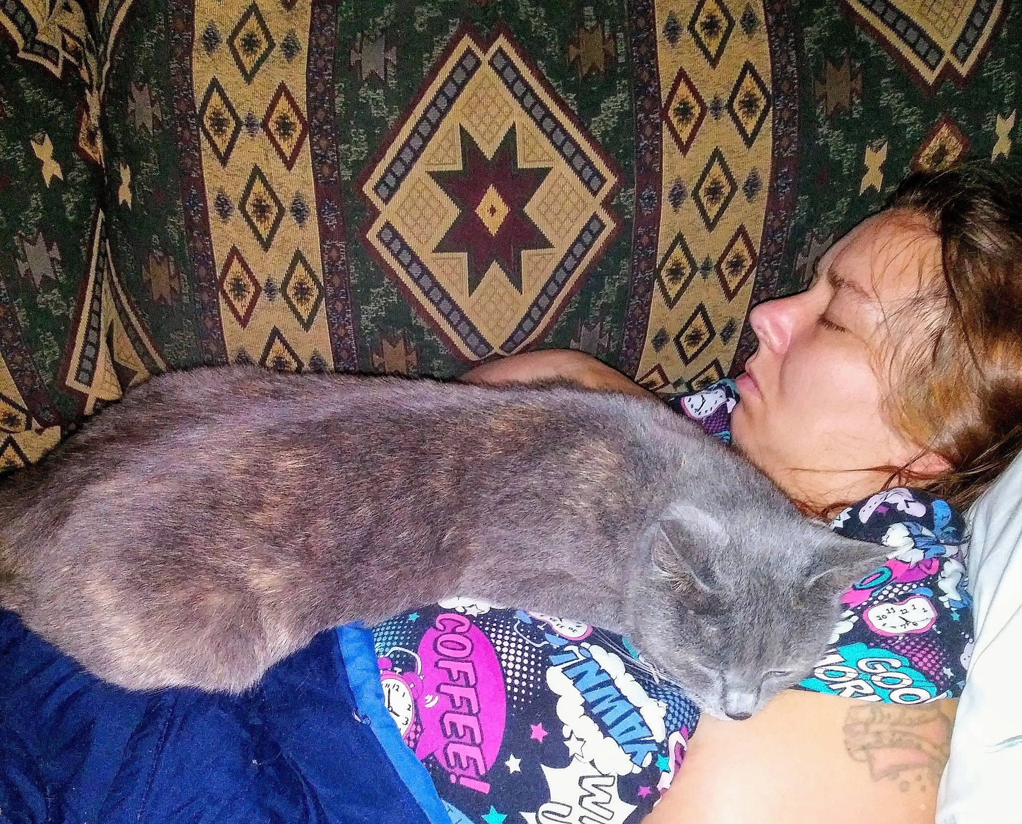 Smokie is registered to the contest to win money with this photo: canidae, carnivore, comfort, companion_dog, dog, dog_breed, domestic_short_haired_cat, ear, electric_blue, fawn, felidae, fur, glasses, hug, nap, small_to_medium_sized_cats, sporting_group, textile, whiskers, wrinkle