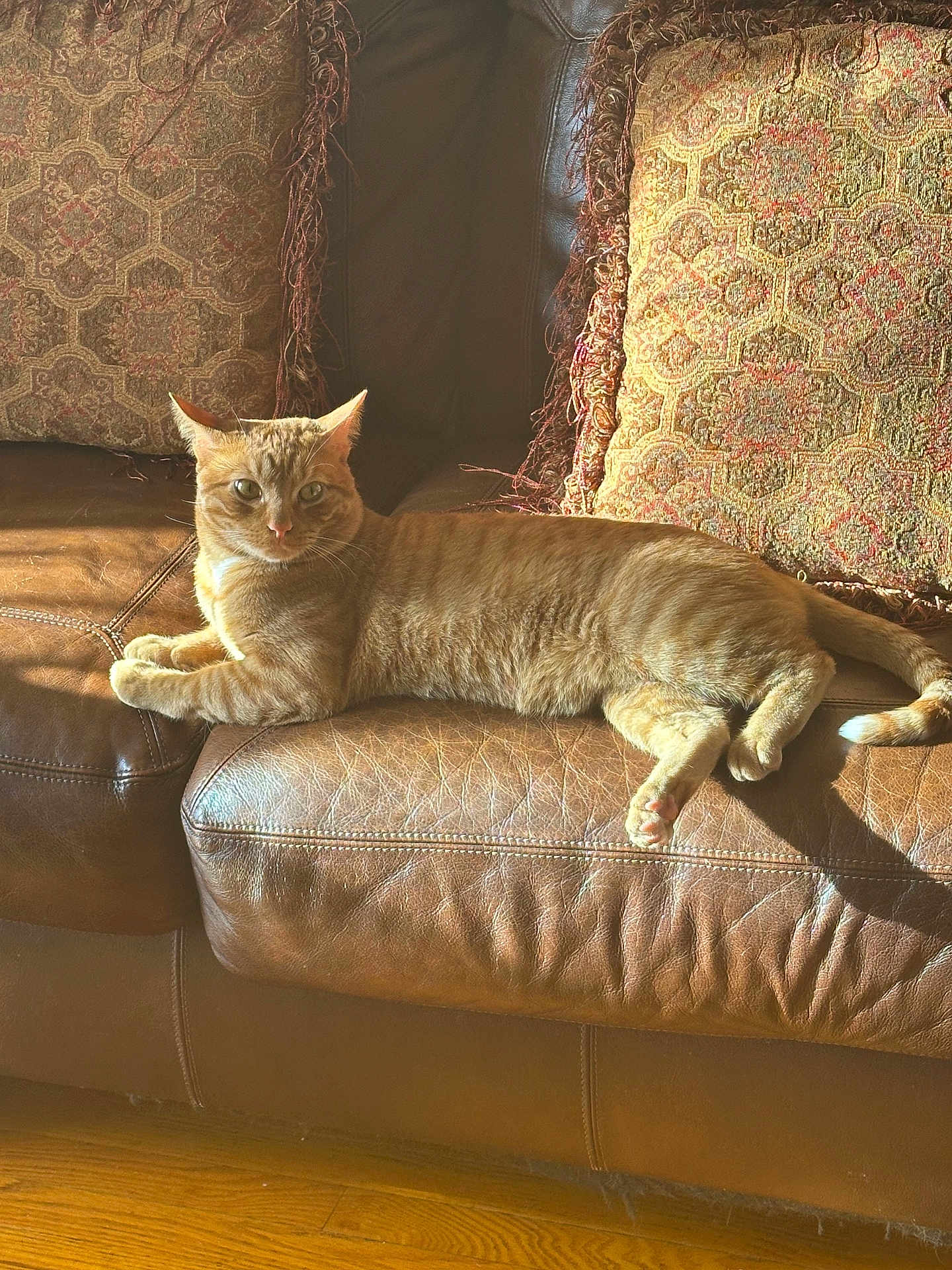 Jasper