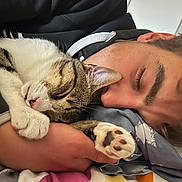 Noopy a rejoint le concours — aidez-le/la à gagner de superbes lots ! cat, person, sleeping, paw, hand, blanket, cozy, tabby_cat, close_up, resting, indoor, cute, relaxation, fur, eyelashes, comfort, soft, nap, face, hoodie