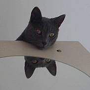 Grybouille a rejoint le concours — aidez-le/la à gagner de superbes lots !