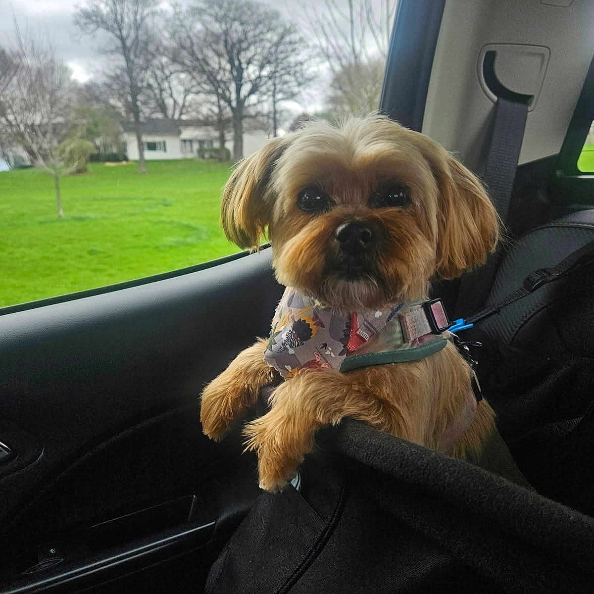 Bella