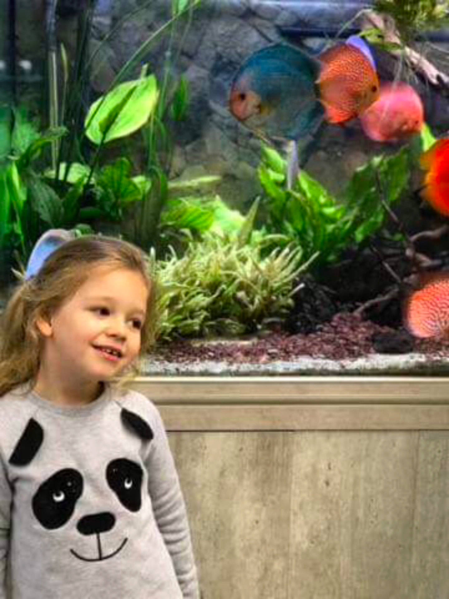 Violette a rejoint le concours — aidez-le/la à gagner de superbes lots ! play