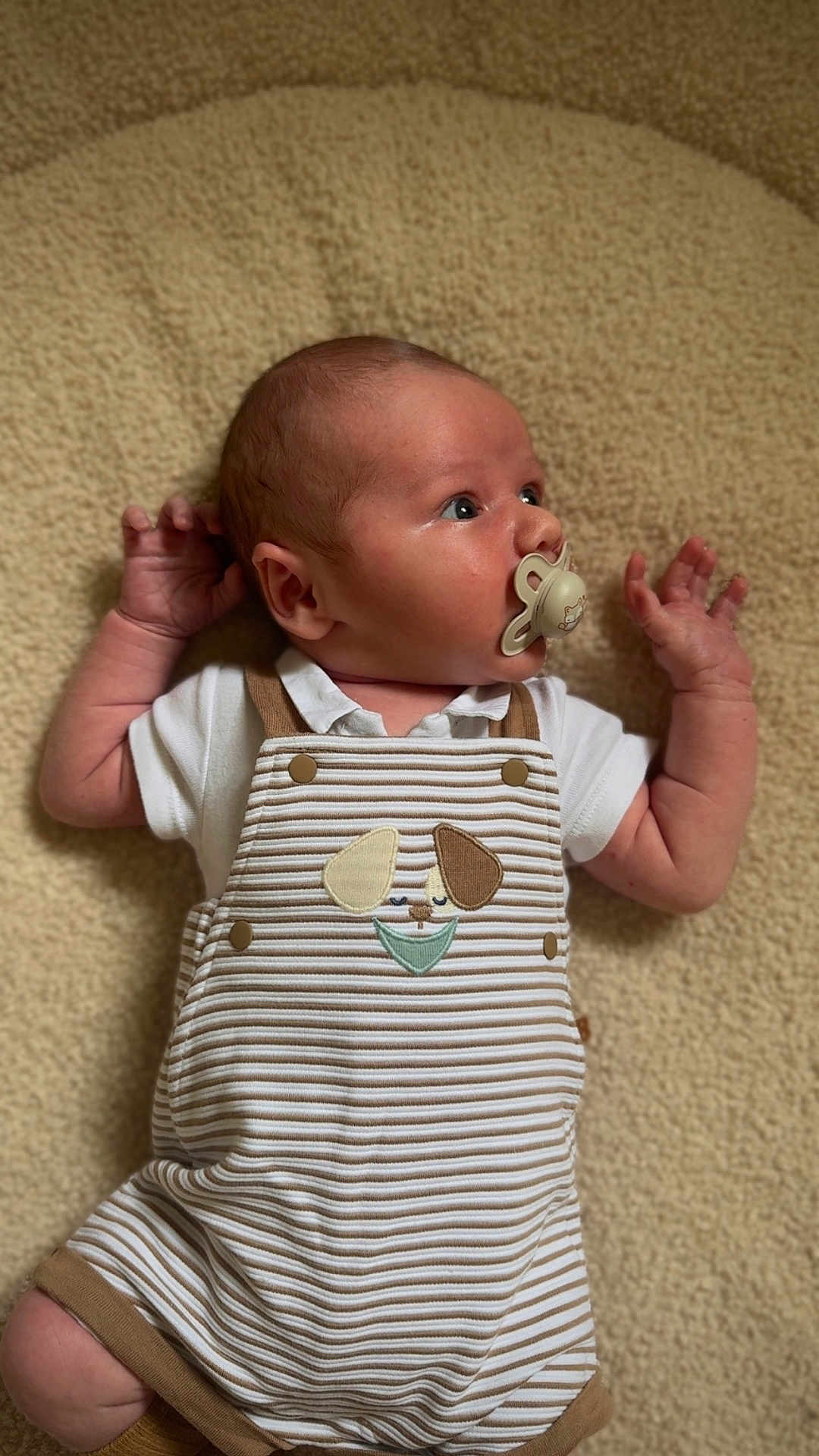 Elio participe au concours pour gagner de l'argent avec cette photo : baby, infant, pacifier, romper, striped_clothing, dog_applique, blanket, soft_texture, lying_down, curious, child, cute, indoors, skin, head, arm, hand, face, expression, clothing