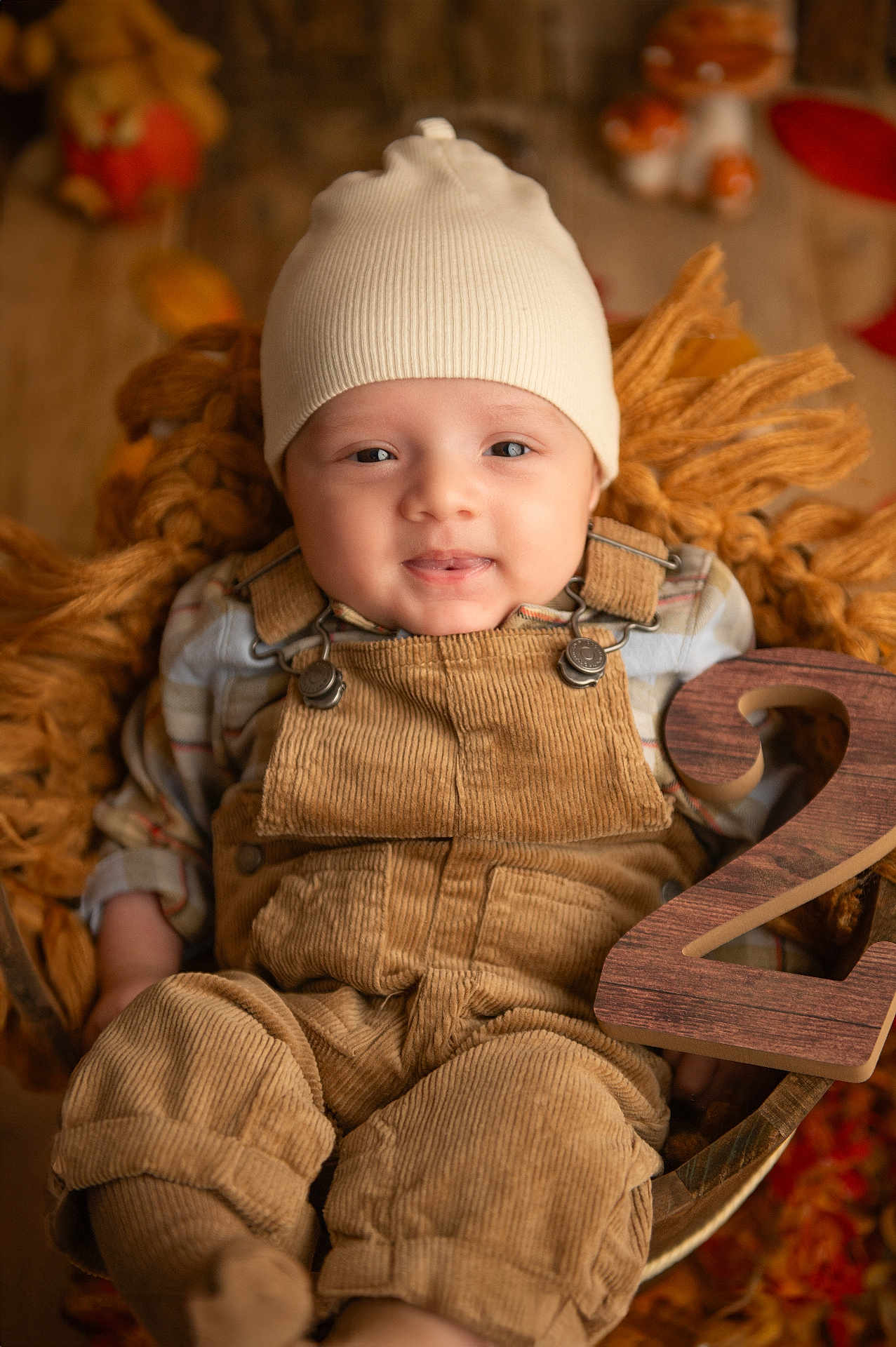 Daniel participe au concours pour gagner de l'argent avec cette photo : baby, infant, beanie, corduroy_overalls, blanket, wooden_number, number_2, smiling, face, hands, legs, autumn, warm_colors, plaid_shirt, cute, portrait, indoor, cozy, baby_photo, milestone