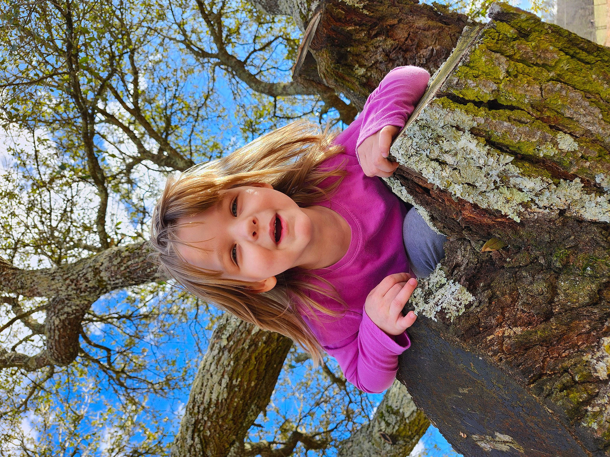 Elise is registered to the contest to win money with this photo: branch, electric_blue, fun, grass, happy, joy, leaf, leisure, magenta, people_in_nature, person, plant, recreation, sky, smile, spring, toddler, tree, trunk, twig