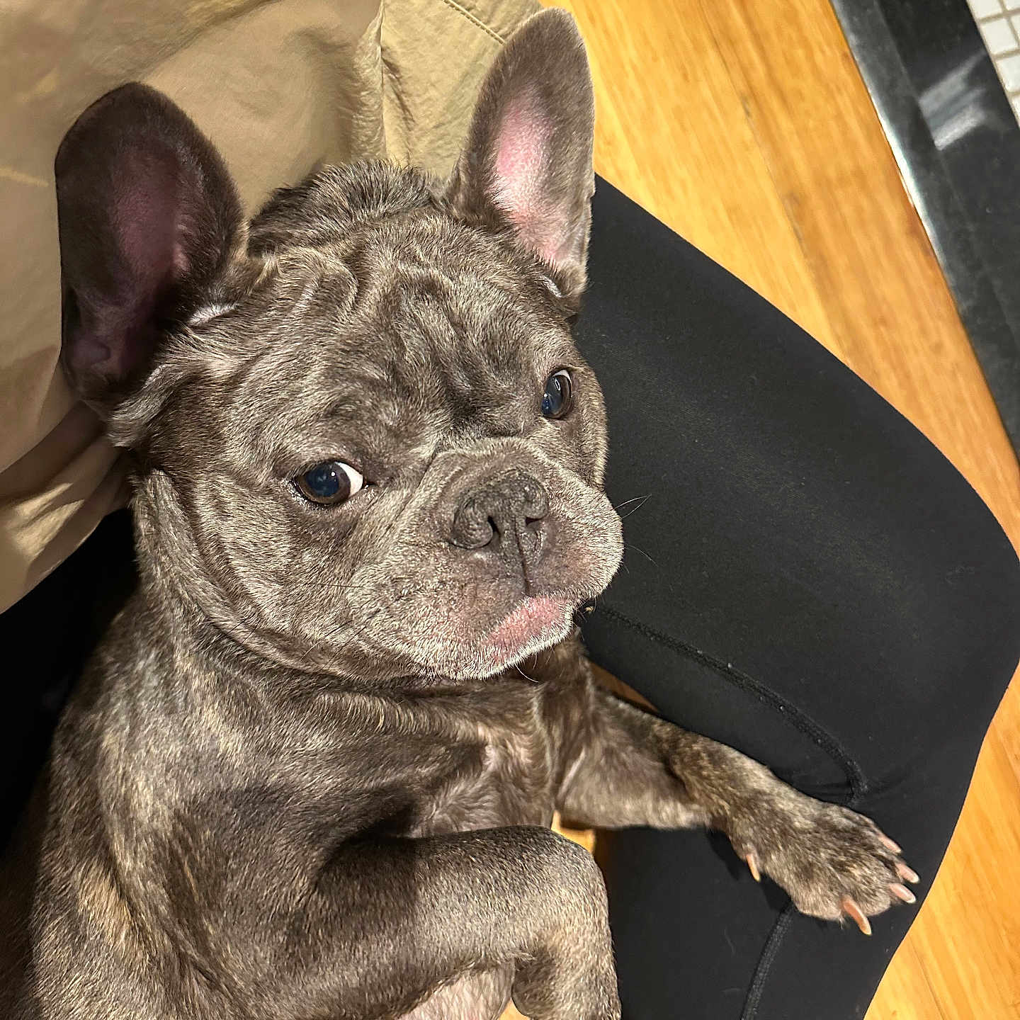 Stormi