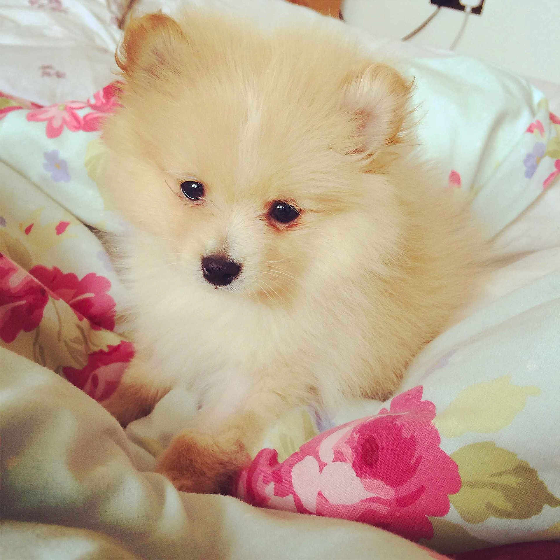 Noah joined the competition — help win amazing prizes!