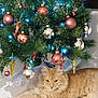 baubles, cat, celebration, christmas_tree, cozy, decorations, festive, fluffy, green_foliage, holiday_decor, indoor, lying_down, orange_cat, ornaments, pet, reindeer_design, relaxed, tree_skirt, twinkle_lights, winter