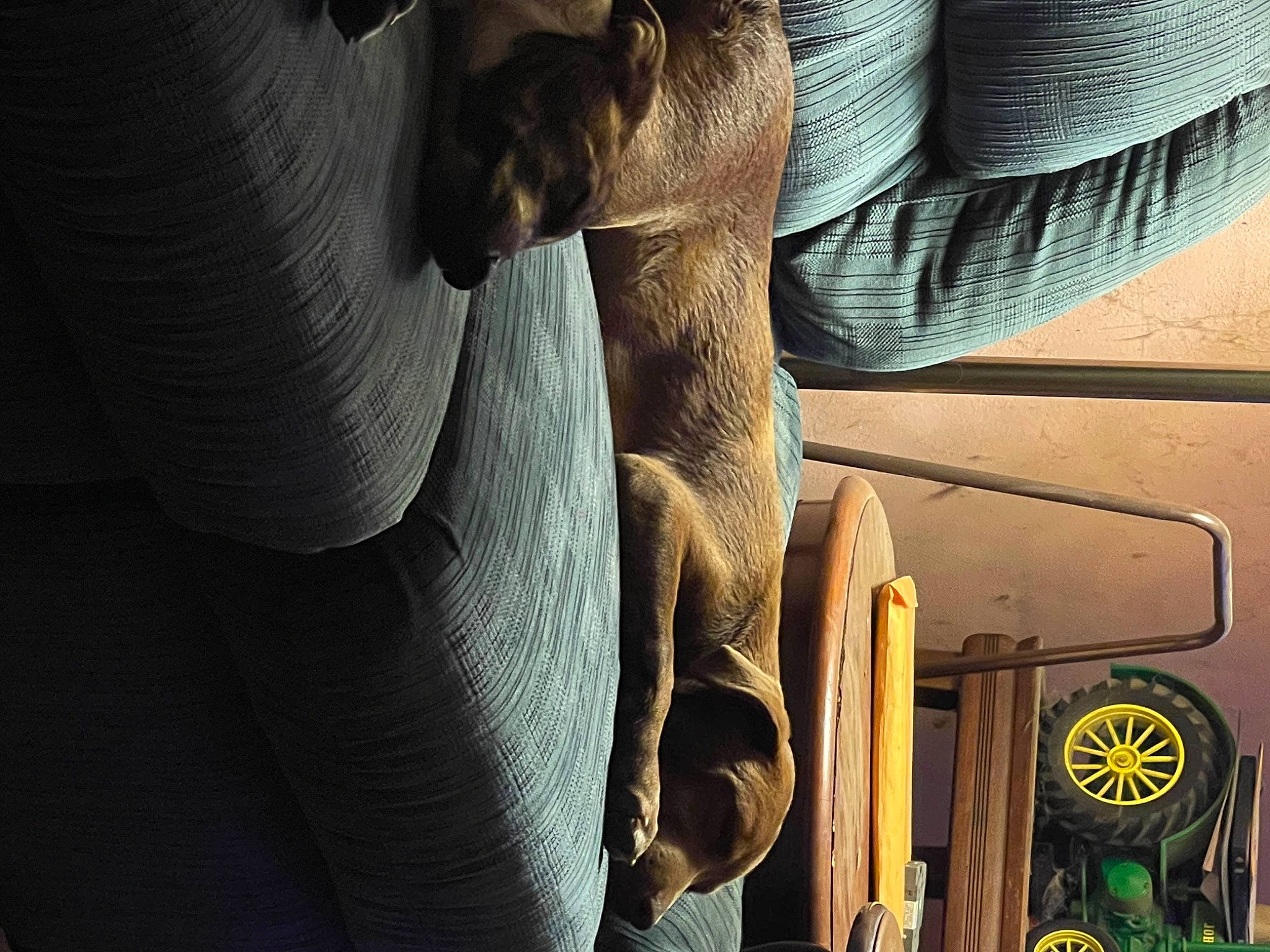 Kenai joined the competition — help win amazing prizes! auto_part, automotive_exterior, automotive_tire, automotive_wheel_system, black, car_seat, comfort, elbow, gesture, hand, hat, human_leg, machine, sitting, thigh, tints_and_shades, tire, tree, vehicle_door, wood