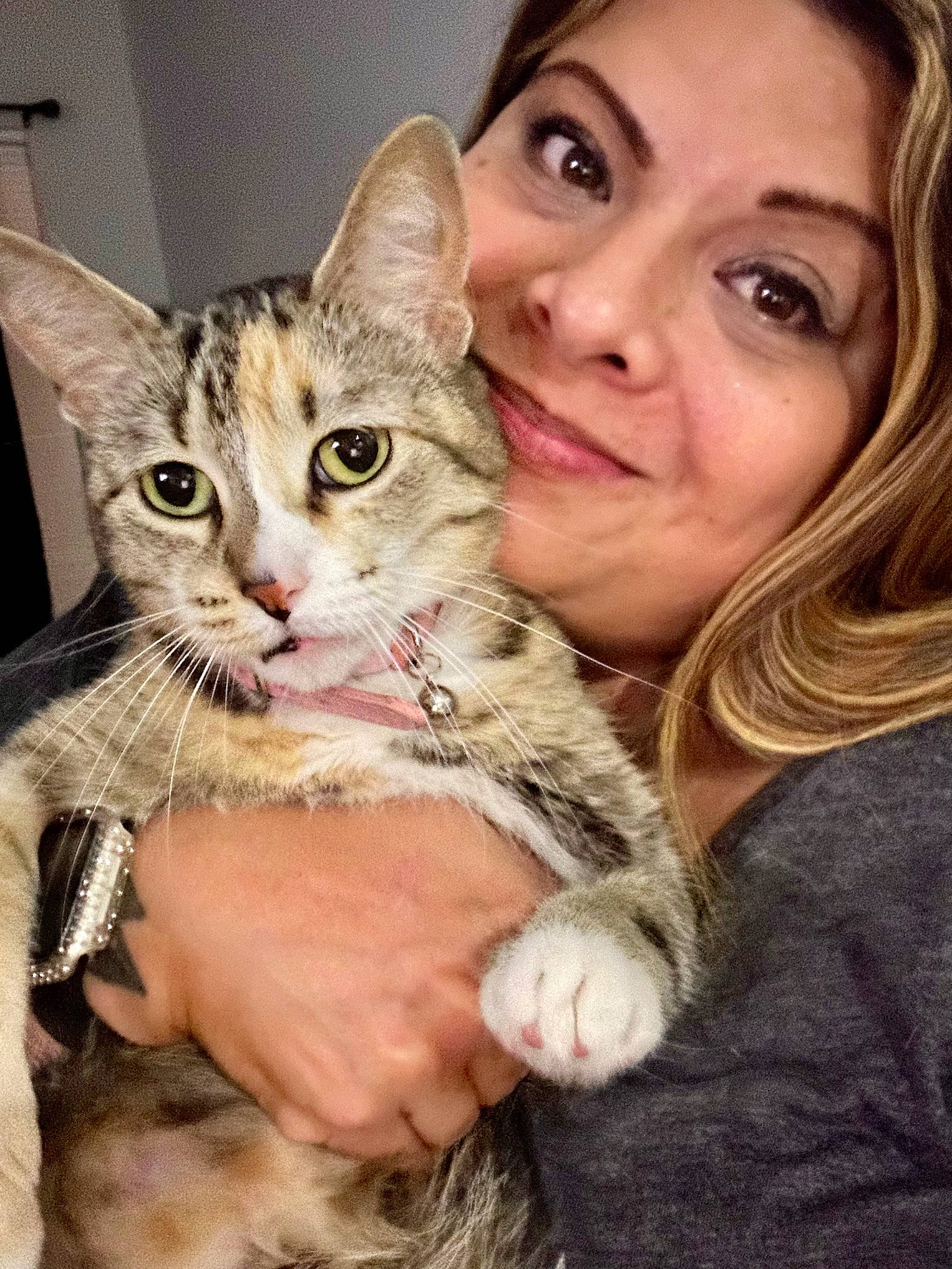 Sweetie joined the competition — help win amazing prizes! carnivore, cat, claw, comfort, domestic_short_haired_cat, ear, eye, felidae, fur, gesture, happy, hug, nail, paw, selfie, sitting, skin, small_to_medium_sized_cats, smile, whiskers