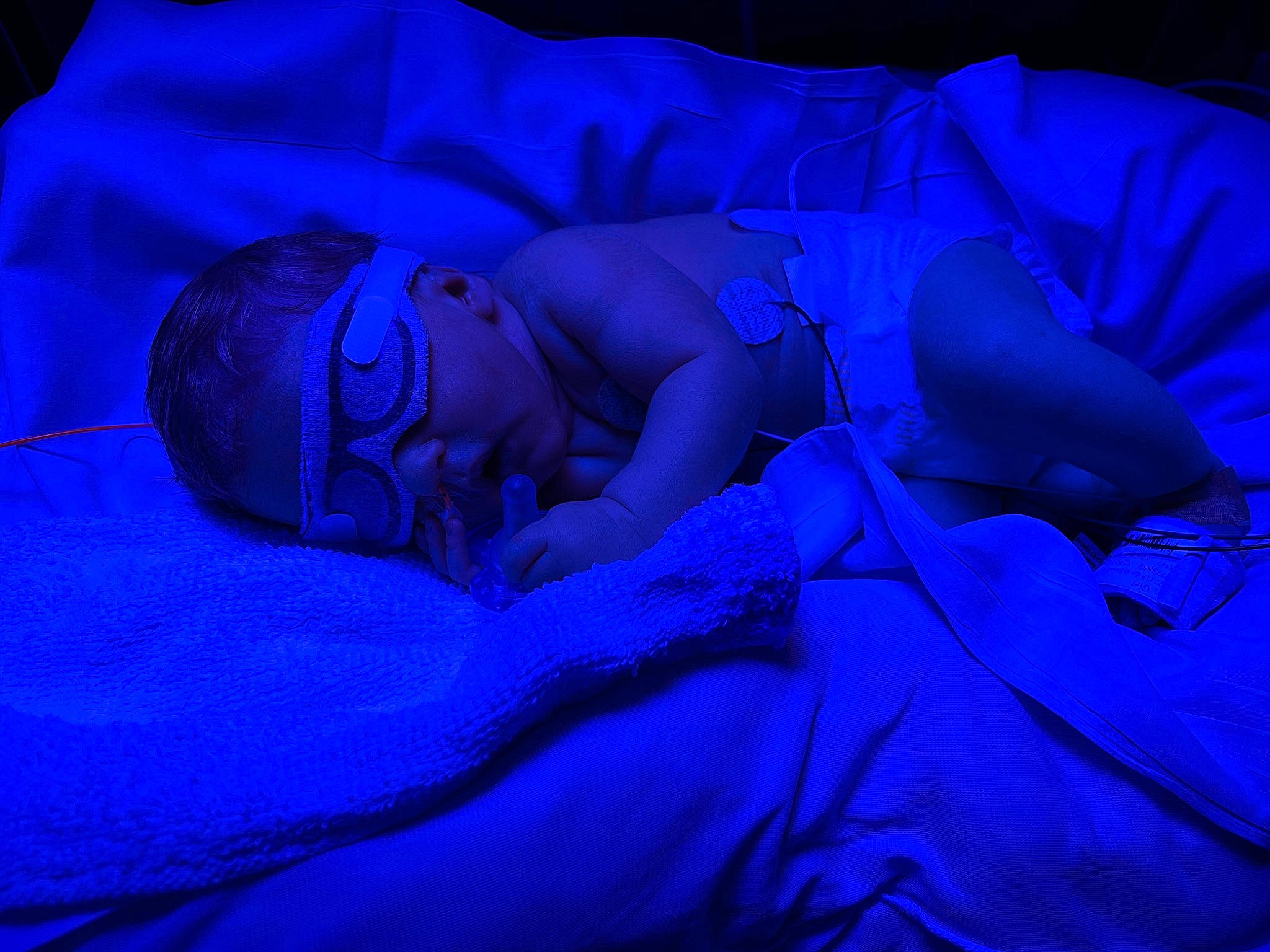 Bexley joined the competition — help win amazing prizes! bed_sheet, blue, comfort, darkness, electric_blue, event, linens, magenta, night, pattern, person, petal, purple, room, sky, tints_and_shades, violet