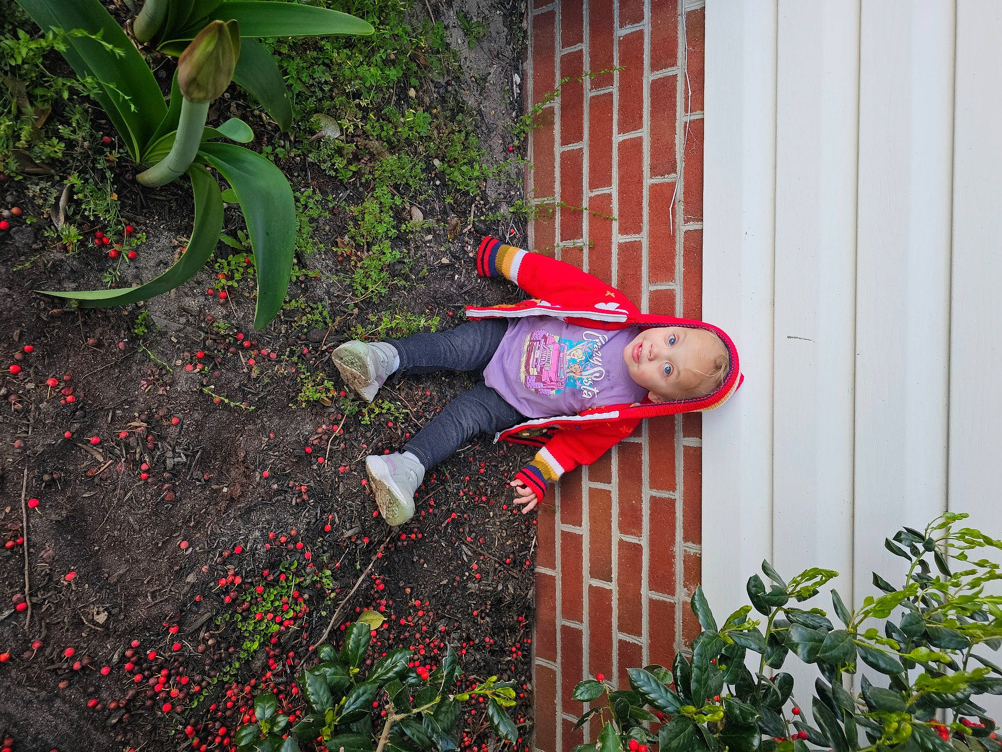 Waverly joined the competition — help win amazing prizes! annual_plant, carmine, door, garden, grass, groundcover, hat, landscaping, lawn_ornament, person, petal, plant, red, shoe, shrub, smile, soil, terrestrial_plant, toy, wood